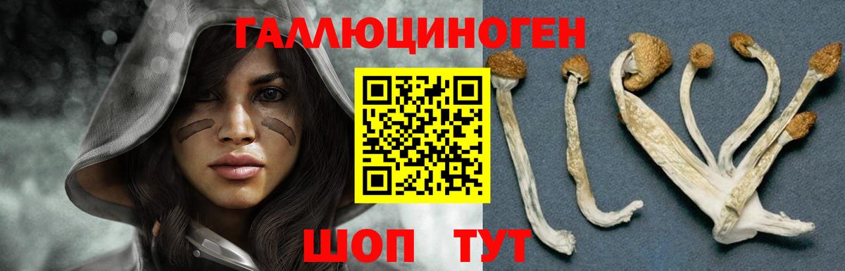 Галлюциногенные грибы ЛСД  Вход с VPN  Карасук 