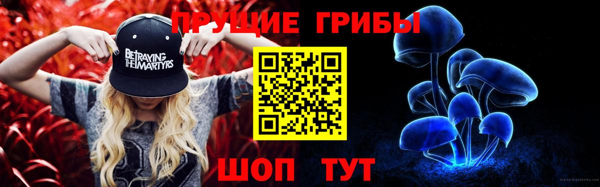 Галлюциногенные грибы Cubensis Карасук